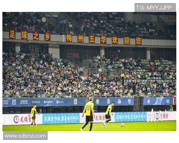 阿姓足球明星的传奇故事与辉煌成就盘点